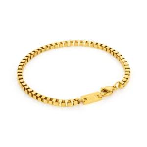golden stainless steel bracelet austin for men